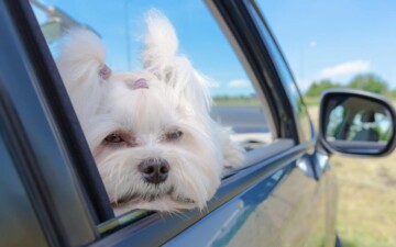 La climatisation en été peut-elle garder un moteur plus froid ?